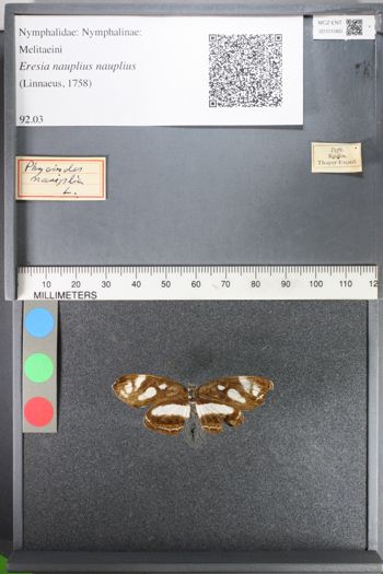 Media type: image;   Entomology 101060